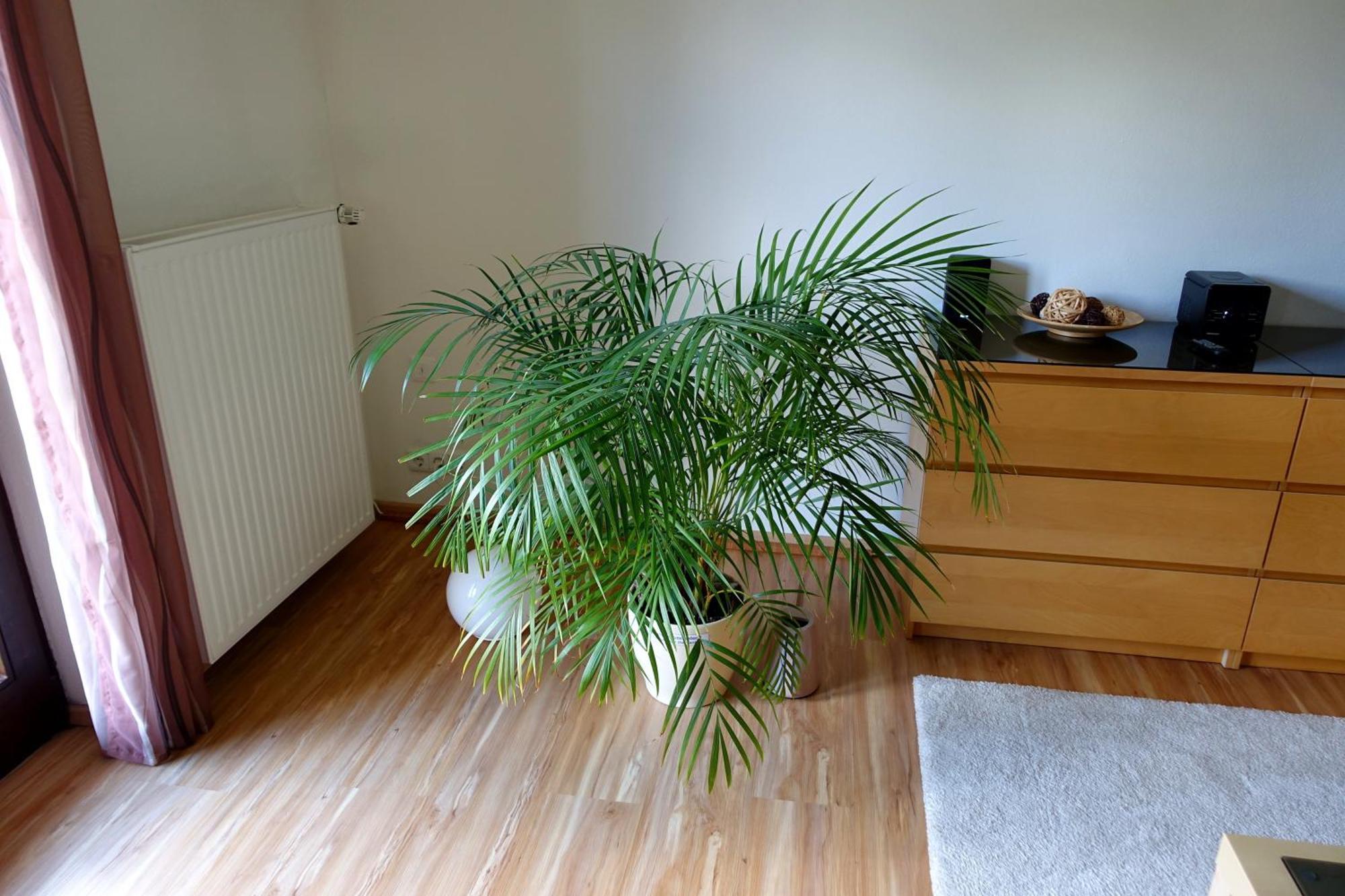 Ferienwohnung Ariane Гармиш-Партенкирхен Экстерьер фото
